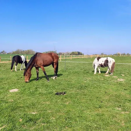 La Petite Maison De Terre De Partage