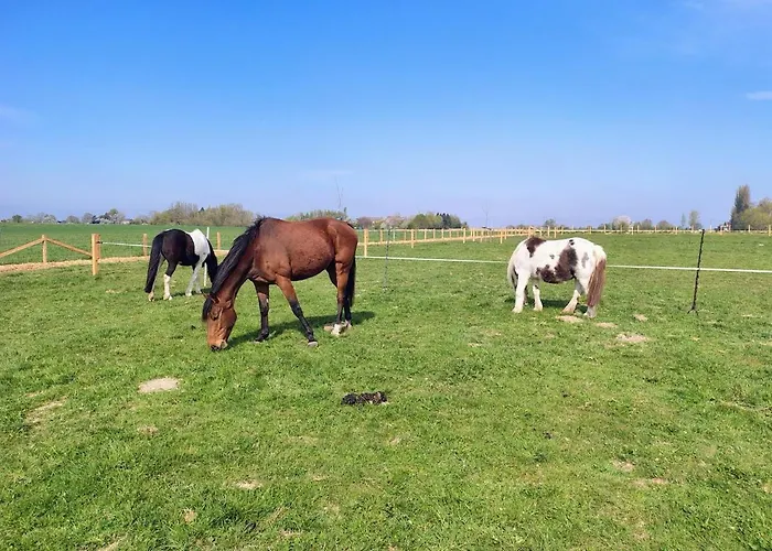 La Petite Maison De Terre De Partage